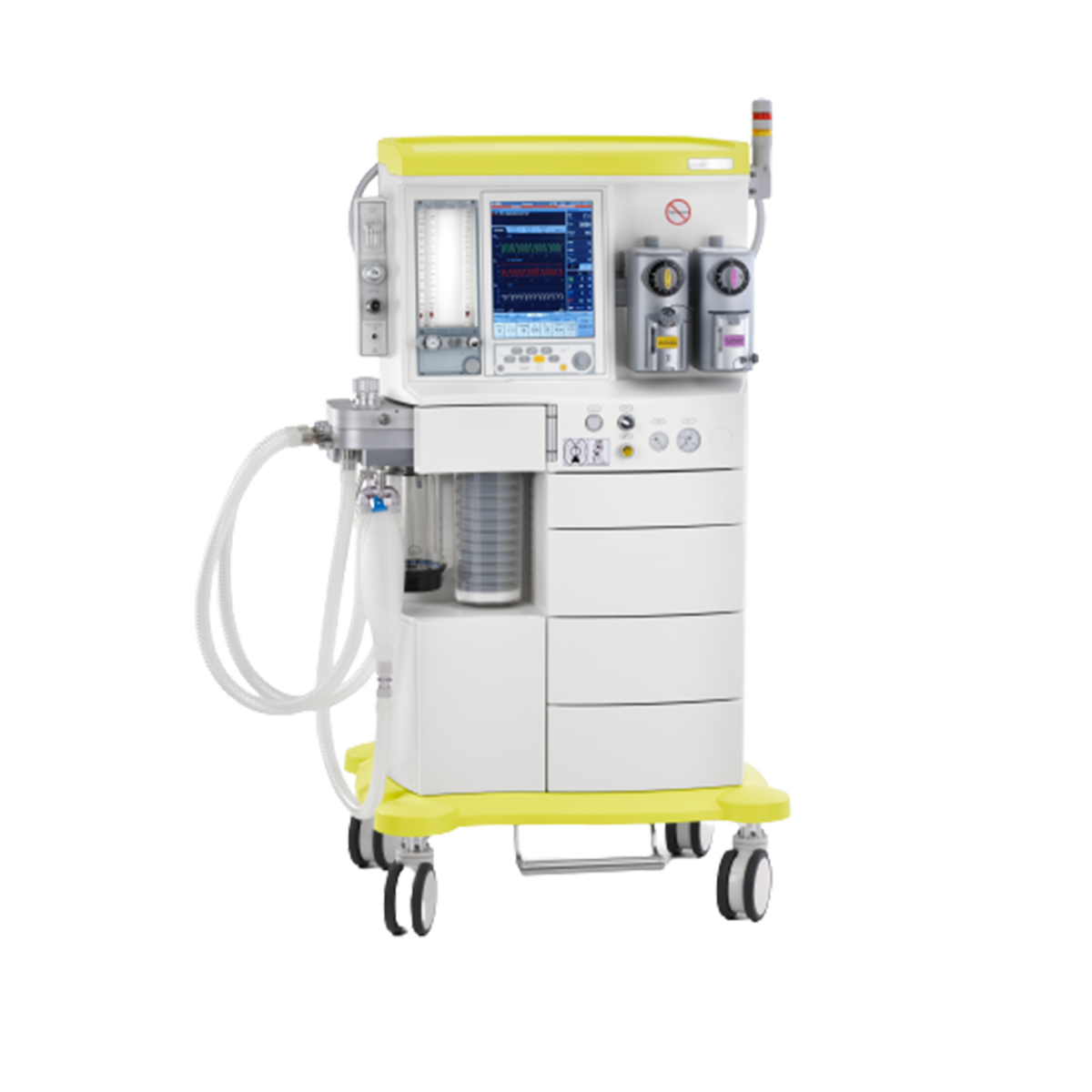 Leon MRI